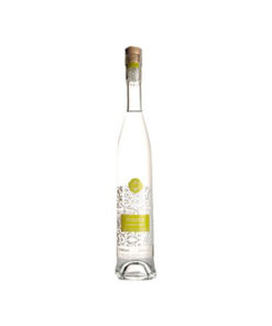 Hrozno Chardonnay 42 05l Delicia