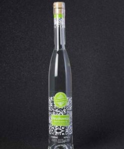 Hruskovica Konferencia 42 05l Delicia