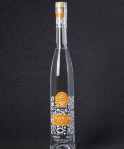 Marhulovica Bergeron 42 05l Delicia