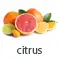 citrus